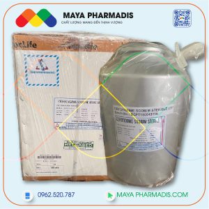 Kháng sinh CEFOTAXIME NECLIFE Ấn Độ