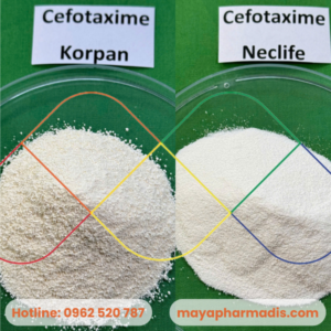 Cefotaxime