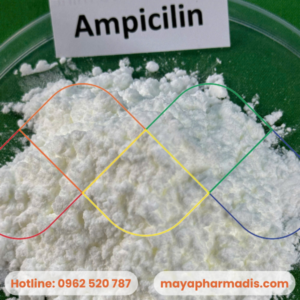 Ampicillin