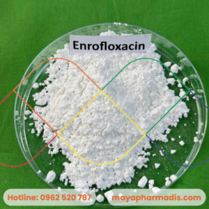 ENROFLOXACIN
