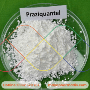 Praziquantel