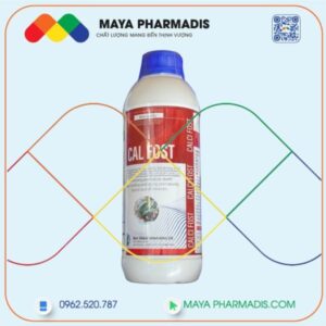 Cal Fost - Giải pháp tuyệt vời cho xương chắc khỏe và tăng cường năng suất chăn nuôi