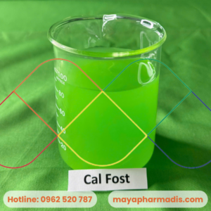 Cal fost
