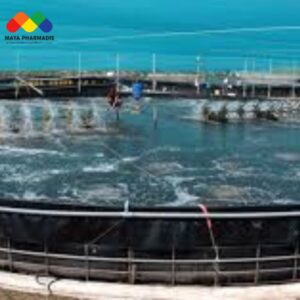 6 cái biết quan trọng của người nuôi tôm