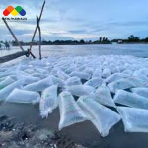 Thời điểm thả tôm giống tốt nhất