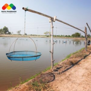 Kiểm soát thức ăn thông qua việc canh nhá