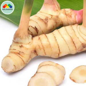 Riềng và Tỏi, Sự Kết Hợp Hỗ Trợ Đường Ruột Cho Tôm