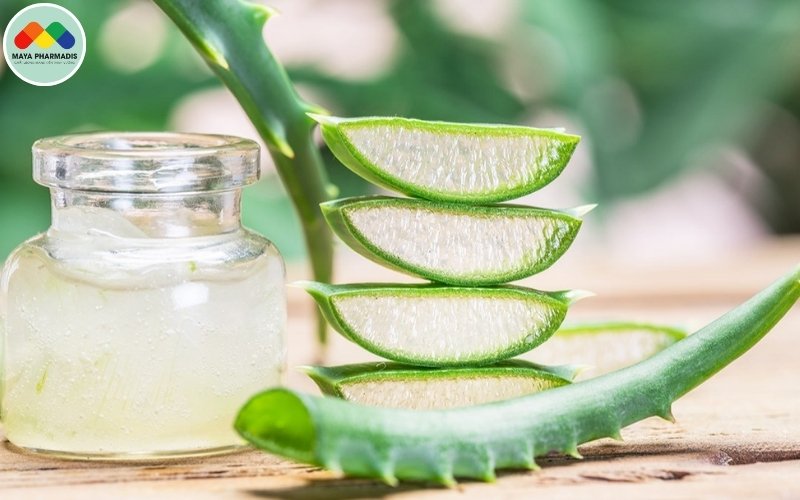 Ứng Dụng Của Cây Nha Đam Trong Nuôi Tôm