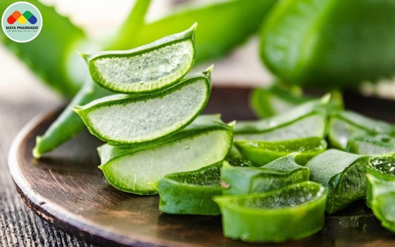 Ứng Dụng Của Cây Nha Đam Trong Nuôi Tôm