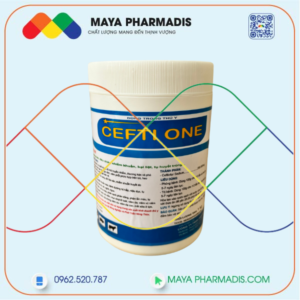 CEFTI ONE