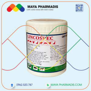 Lincospec – Giải Pháp Điều Trị Nhiễm Khuẩn Hiệu Quả Cho Heo và Gia Cầm