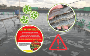 Quy định ATTP trong NTTS