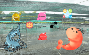 Tầm quan trọng của dinh dưỡng cân đối trong chăn nuôi tôm, cá