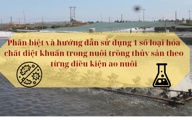 Hoá chất diệt khuẩn