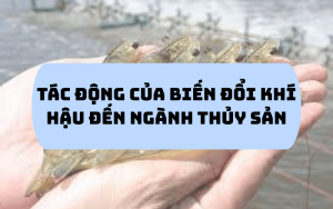 Tác động của biết đổi thời tiết
