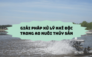 Giải pháp xử lý khí độc