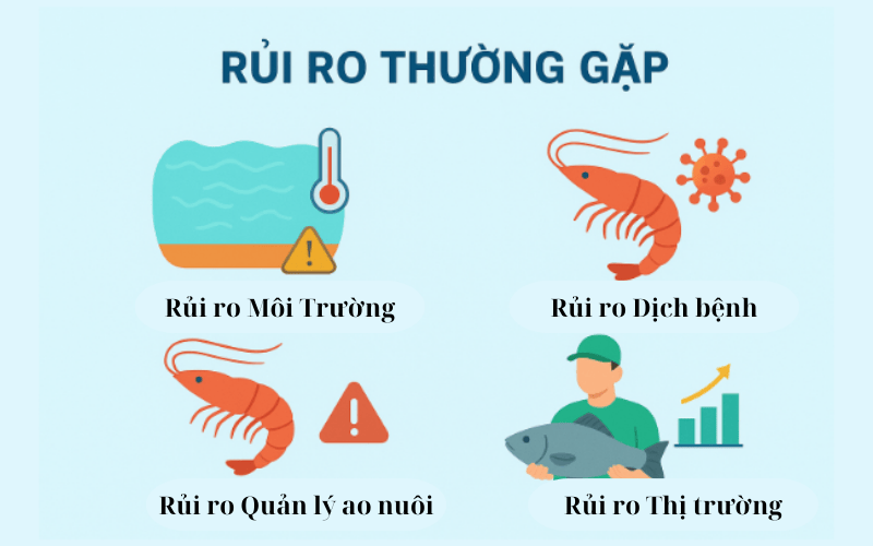 Các rủi ro thông thường