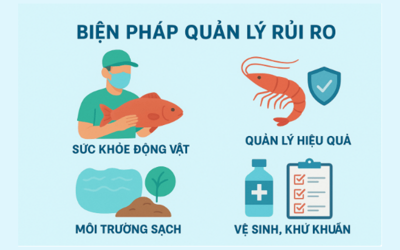 Biện pháp xử lý rủi ro