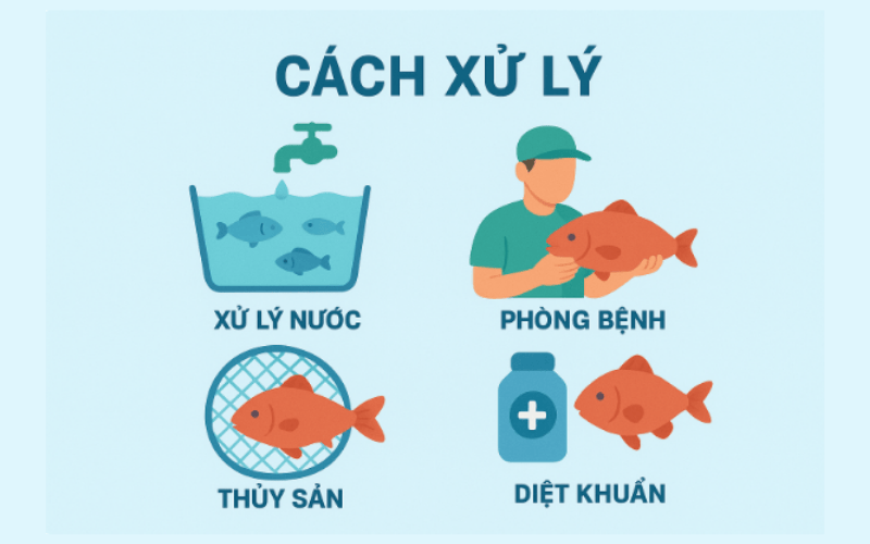 Cách xử lý rủi ro
