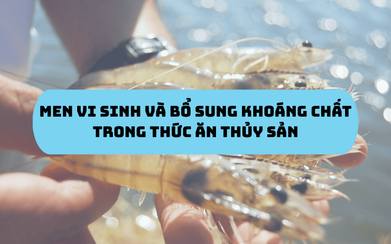 Vi sinh và bổ sung khoáng chất trong thuỷ sản