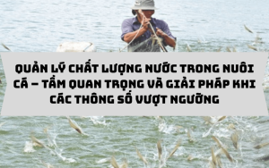 QUẢN LÝ CHẤT LƯỢNG NƯỚC TRONG NUÔI CÁ