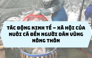Tác động kinh tế - xã hội