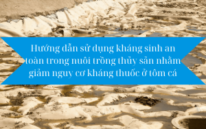 an toàn kháng sinh