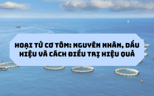 tiêu đề hoại tử tôm