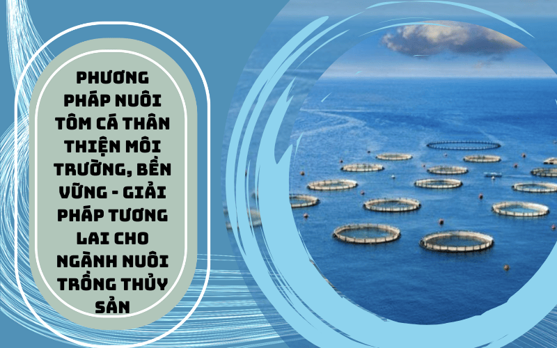 Tiêu đề