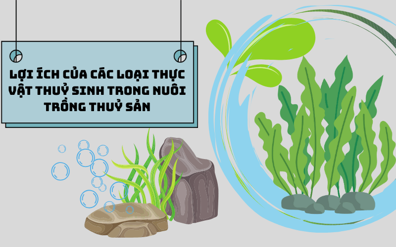 Sinh vật thuỷ sinh