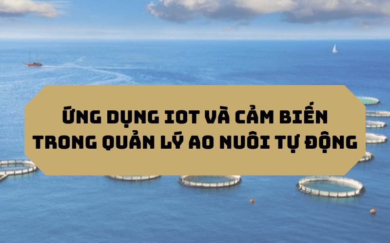 Tiêu đề