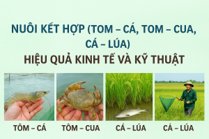mô hình nuôi kết hợp