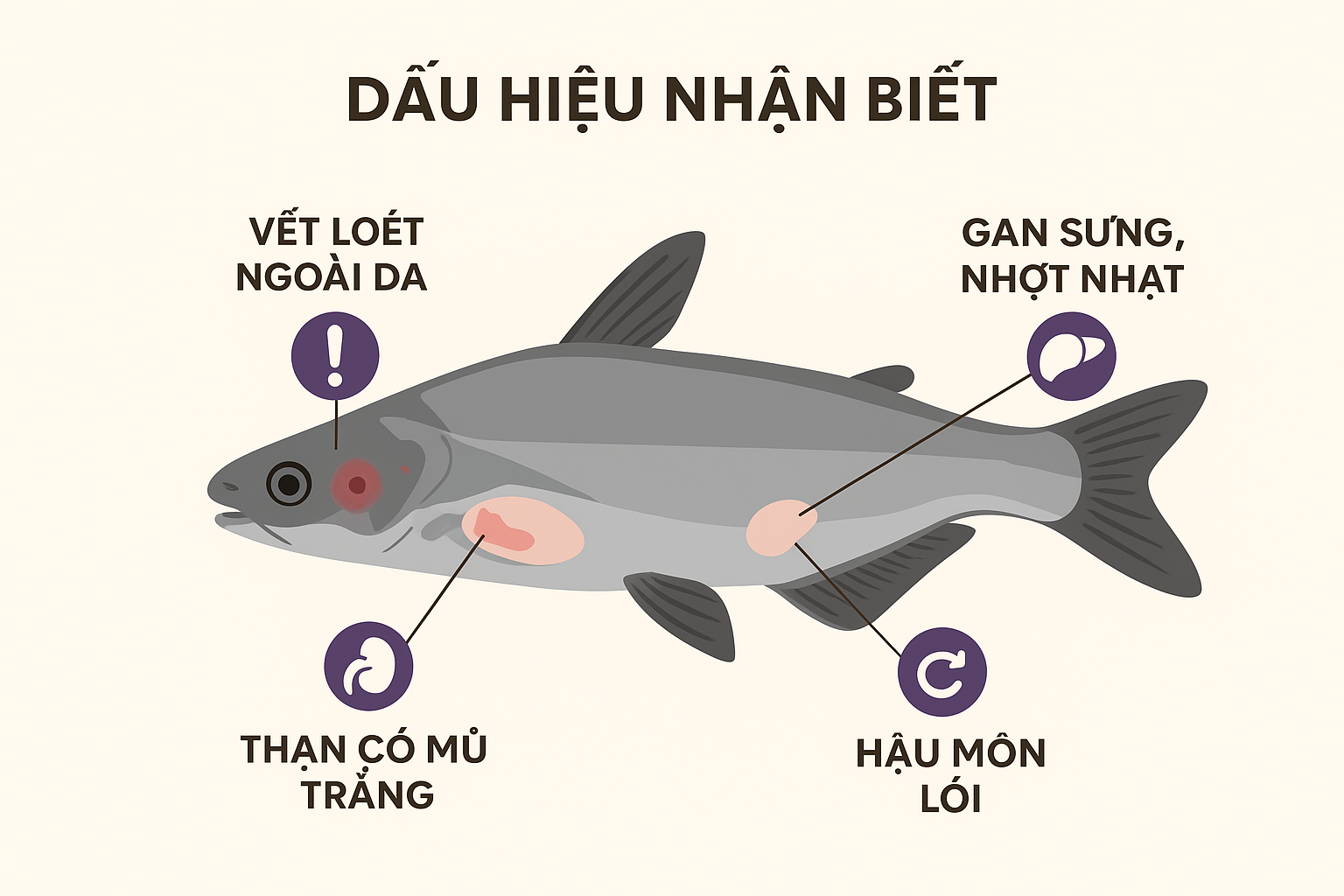 dấu hiệu của gan thận mủ