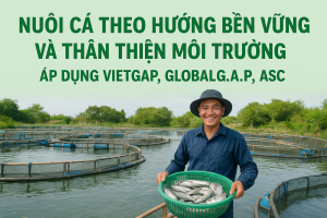 Nuôi cá theo hướng bền vững