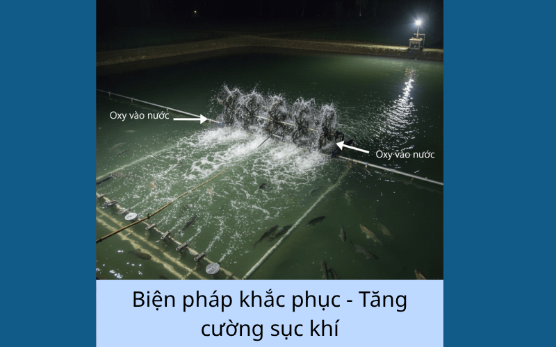 Biện pháp khắc phục 