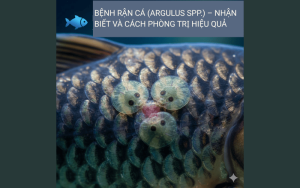 Bệnh rận cá