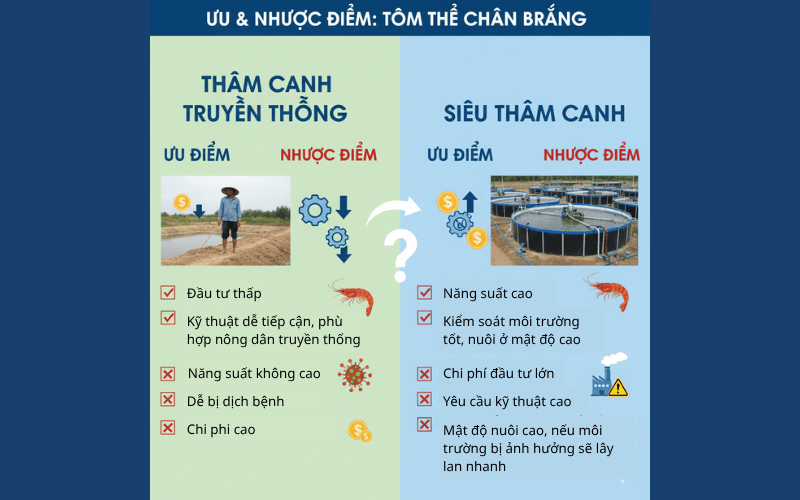 ưu nhược nuôi thâm canh