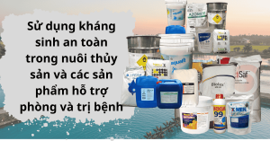 Kháng sinh an toàn