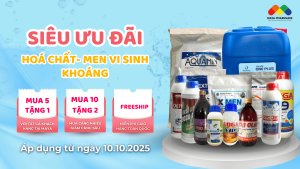 SIÊU ƯU ĐÃI MUA 5 TẶNG 1