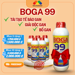 BOGA 99 bổ gan, giải độc gan, combo mua 5 tặng 1