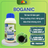 BOGANIC