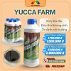 yucca farm