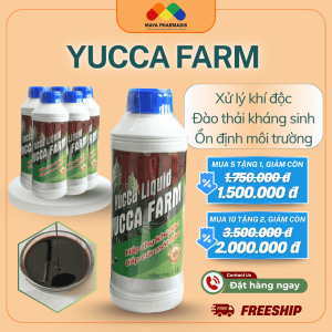yucca farm