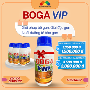 Combo mua 5 tặng 1 boga vip