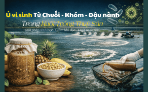 Ủ vi sinh bằng chuôi khóm đậu nành