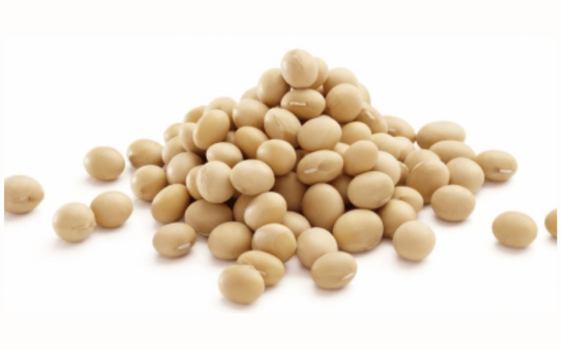 Đậu nành