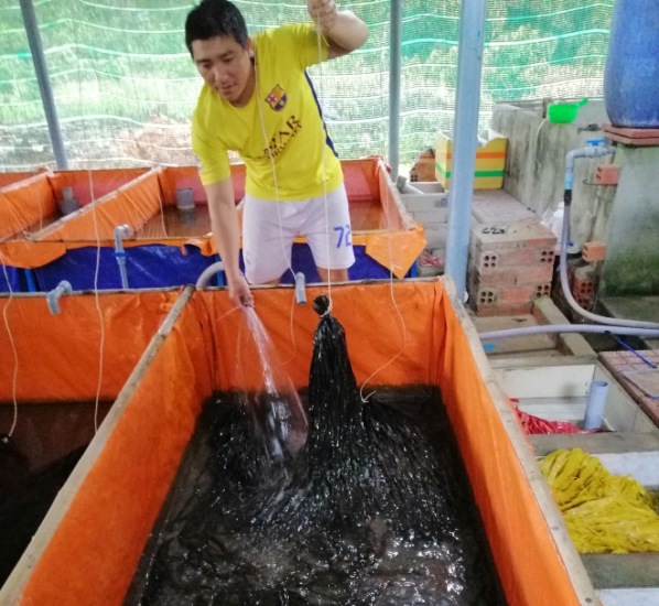 nuôi lươn không bùn