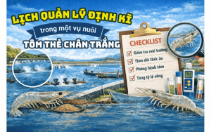 Lịch quản lý trong một vụ nuôi