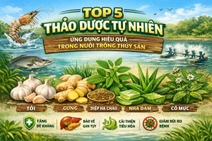 Thảo dược tự nhiên