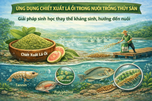 Dịch chiết xuất lá ổi